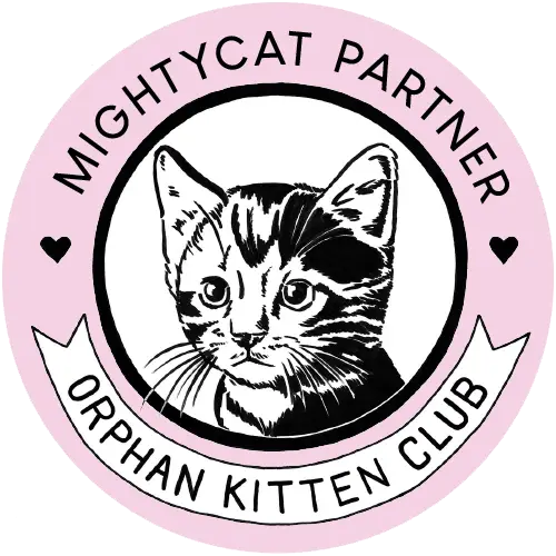 Orphan Kitten Club